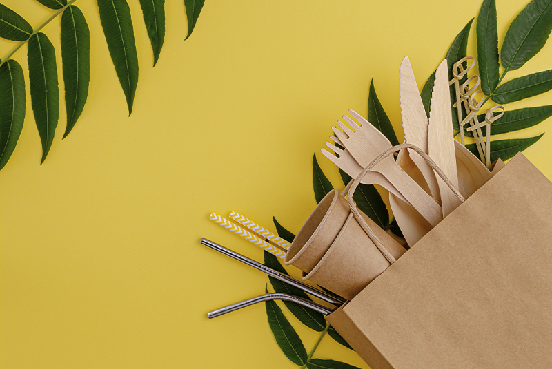 Будет ли одноразовая посуда загрязнять окружающую среду?