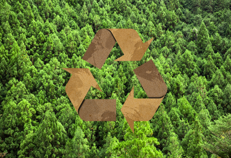Руководство FSC, EUDR и PEFC по закупкам одноразовых принадлежностей для общественного питания